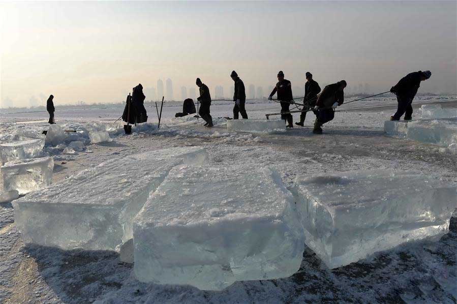 哈(ha)爾濱冬季采冰(bīng) 采冰工具