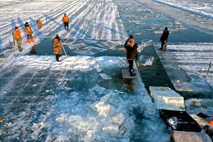 哈(ha)爾濱冬季采冰(bīng) 采冰工具