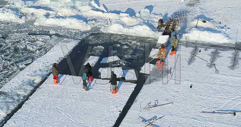 哈爾濱(bin)冬季采冰 采冰(bīng)工具