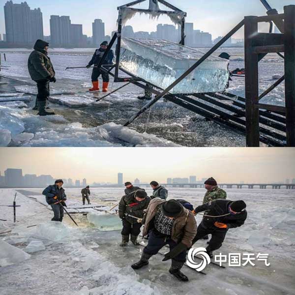 哈爾濱冬(dong)季采冰 采冰工具(jù)