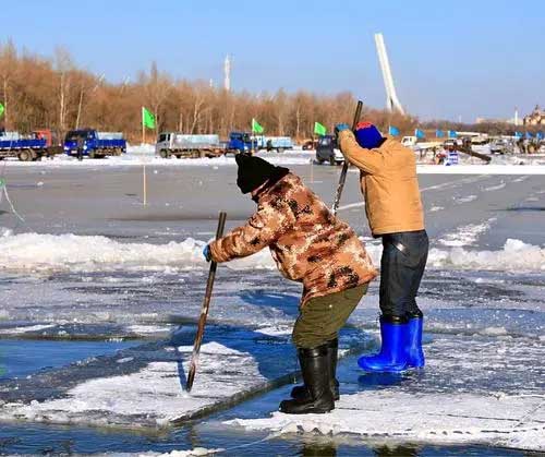 哈爾濱冬季采冰(bing) 采冰工具